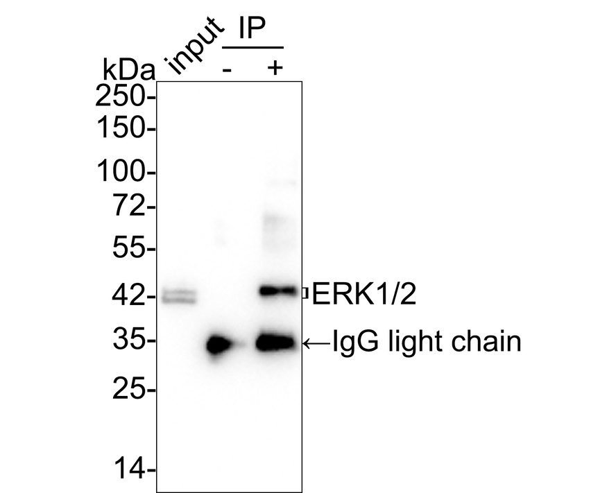 HA750019_12.jpg
