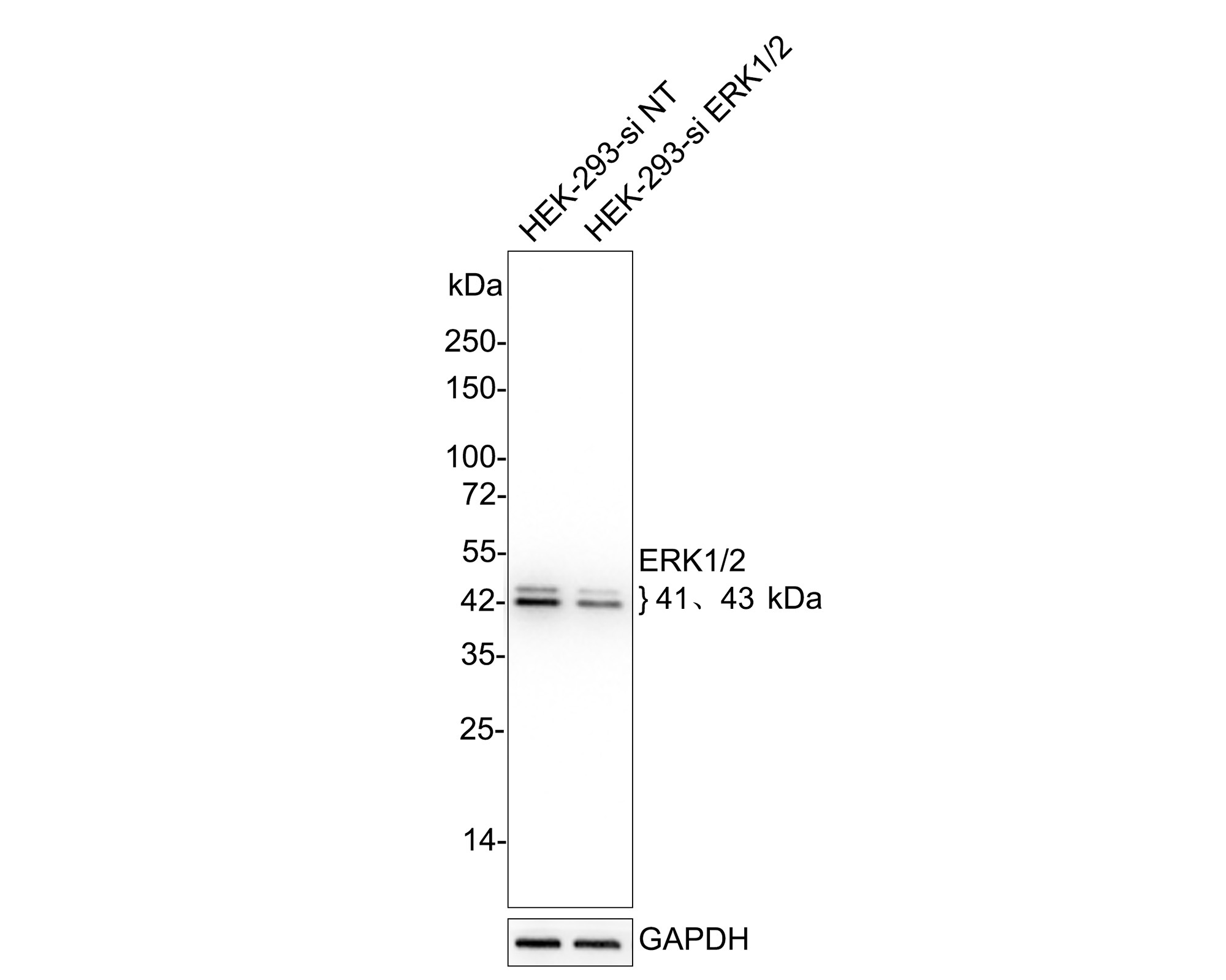 HA750019_3.jpg
