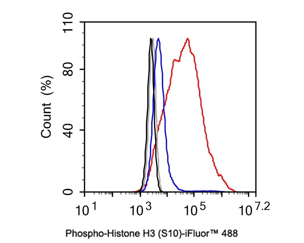 HA750020_8.jpg