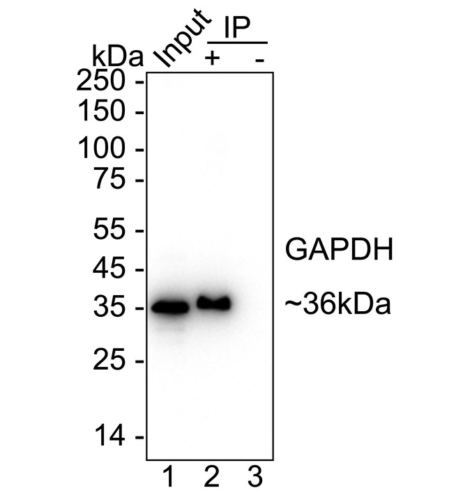 HA750022_13.jpg