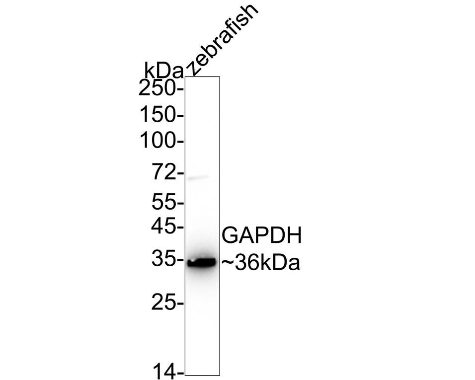 HA750022_5.jpg