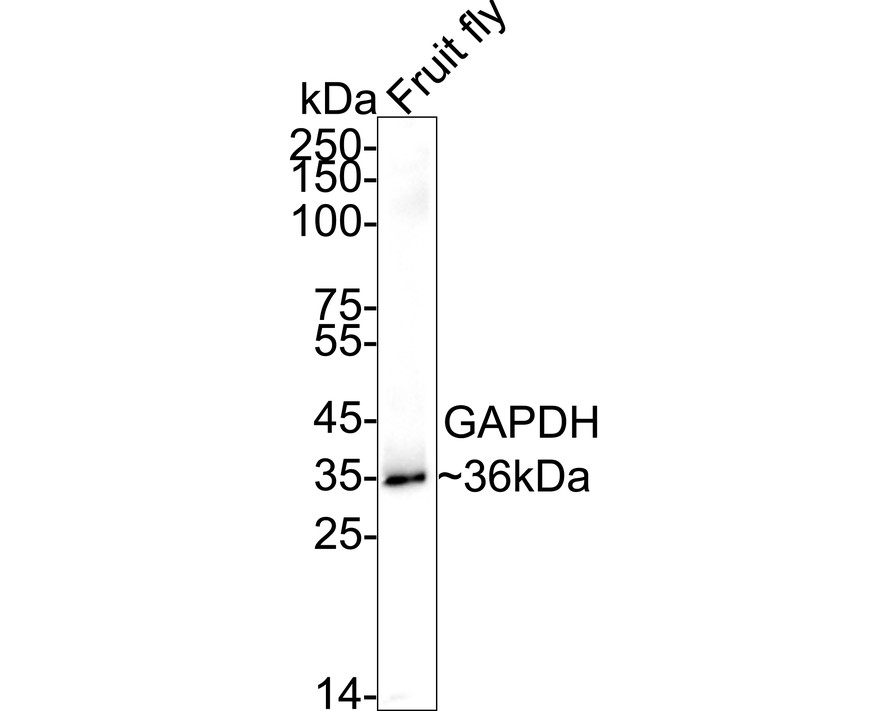 HA750022_6.jpg