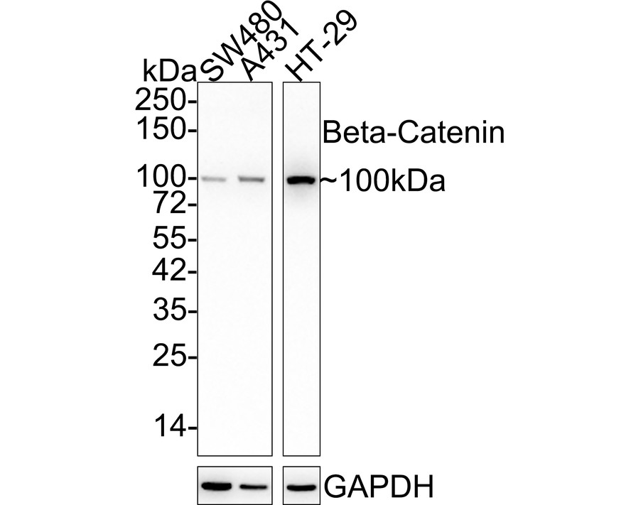 HA750023_1.jpg