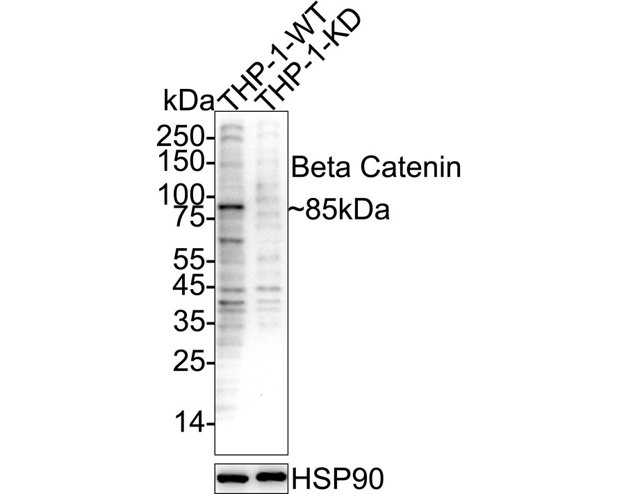 HA750023_2.jpg