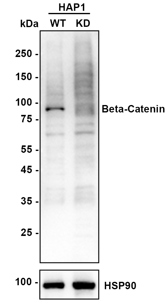 HA750023_3.jpg