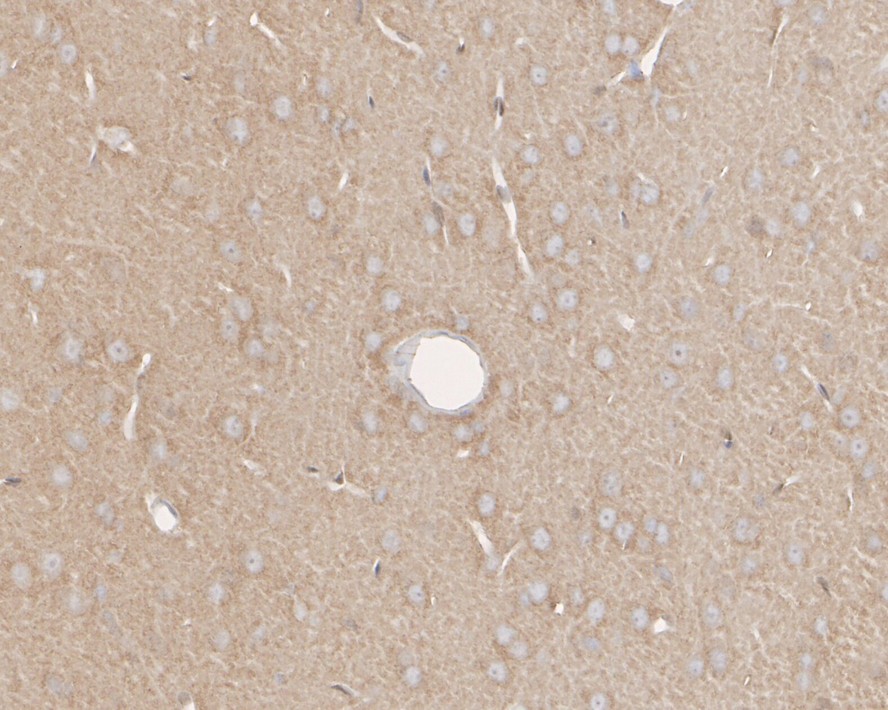 HA750023_7.jpg