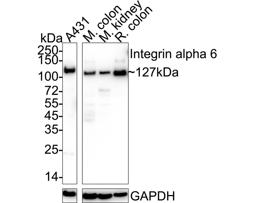 HA750028_1.jpg