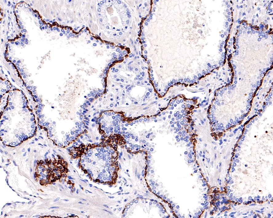 HA750031_4.jpg