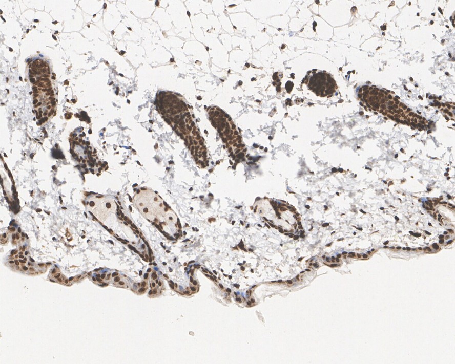 HA750034_10.jpg