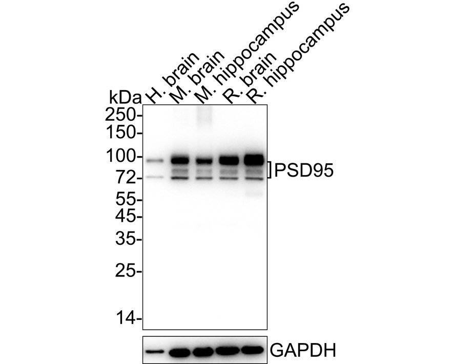 HA750035_5.jpg