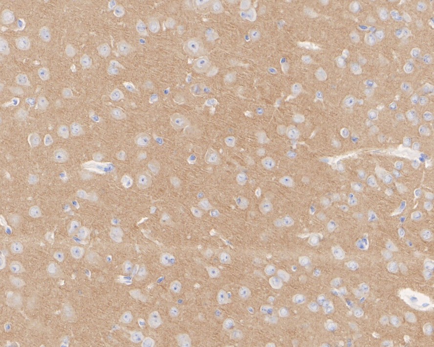 HA750035_8.jpg