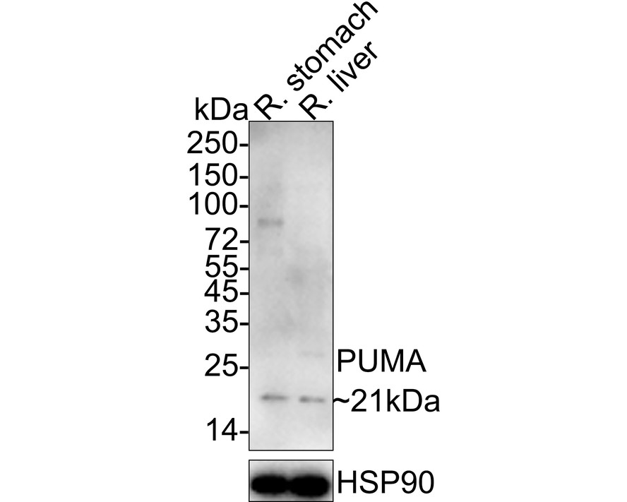 HA750038_2.jpg