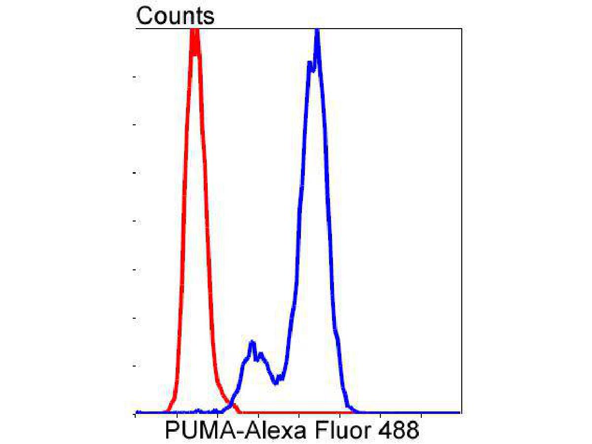 HA750038_9.jpg