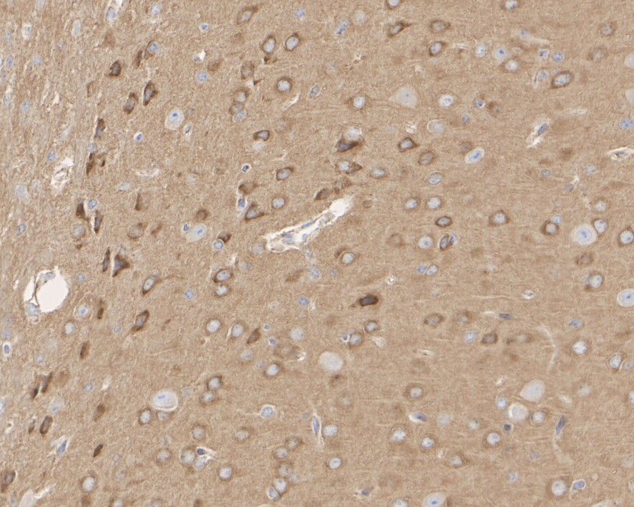 HA750039_8.jpg