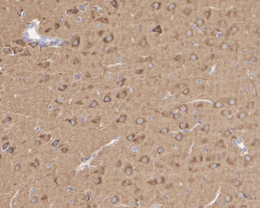 HA750039_9.jpg