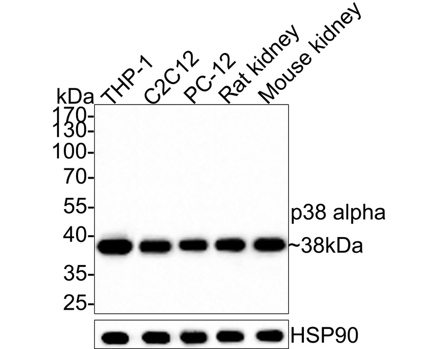 HA750040_2.jpg