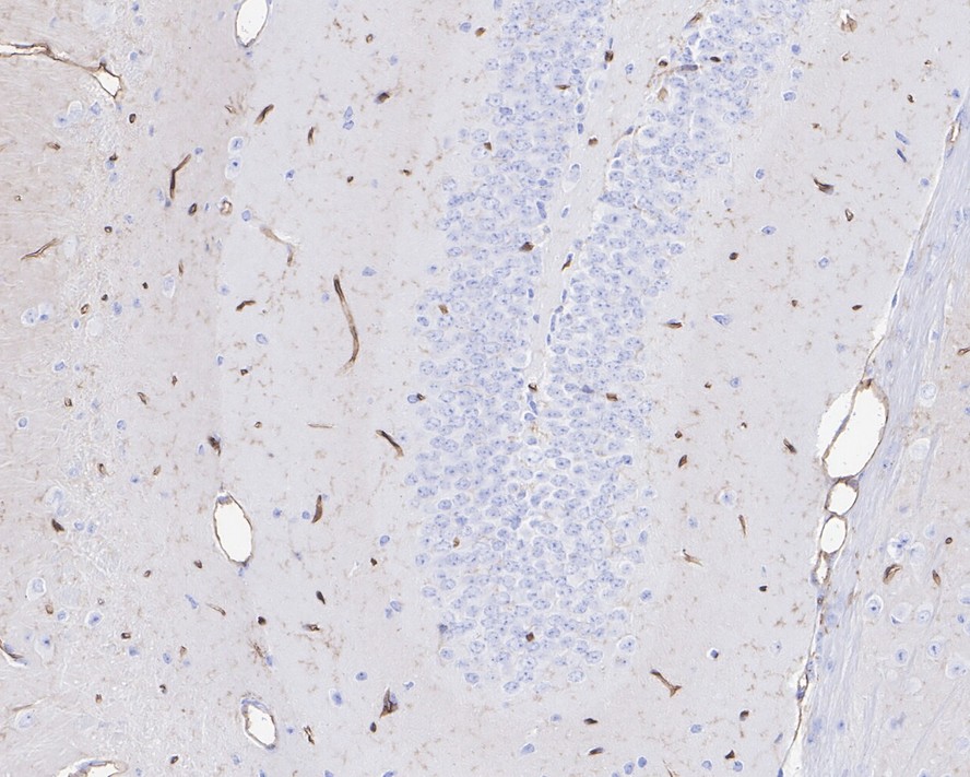 HA750092_14.jpg