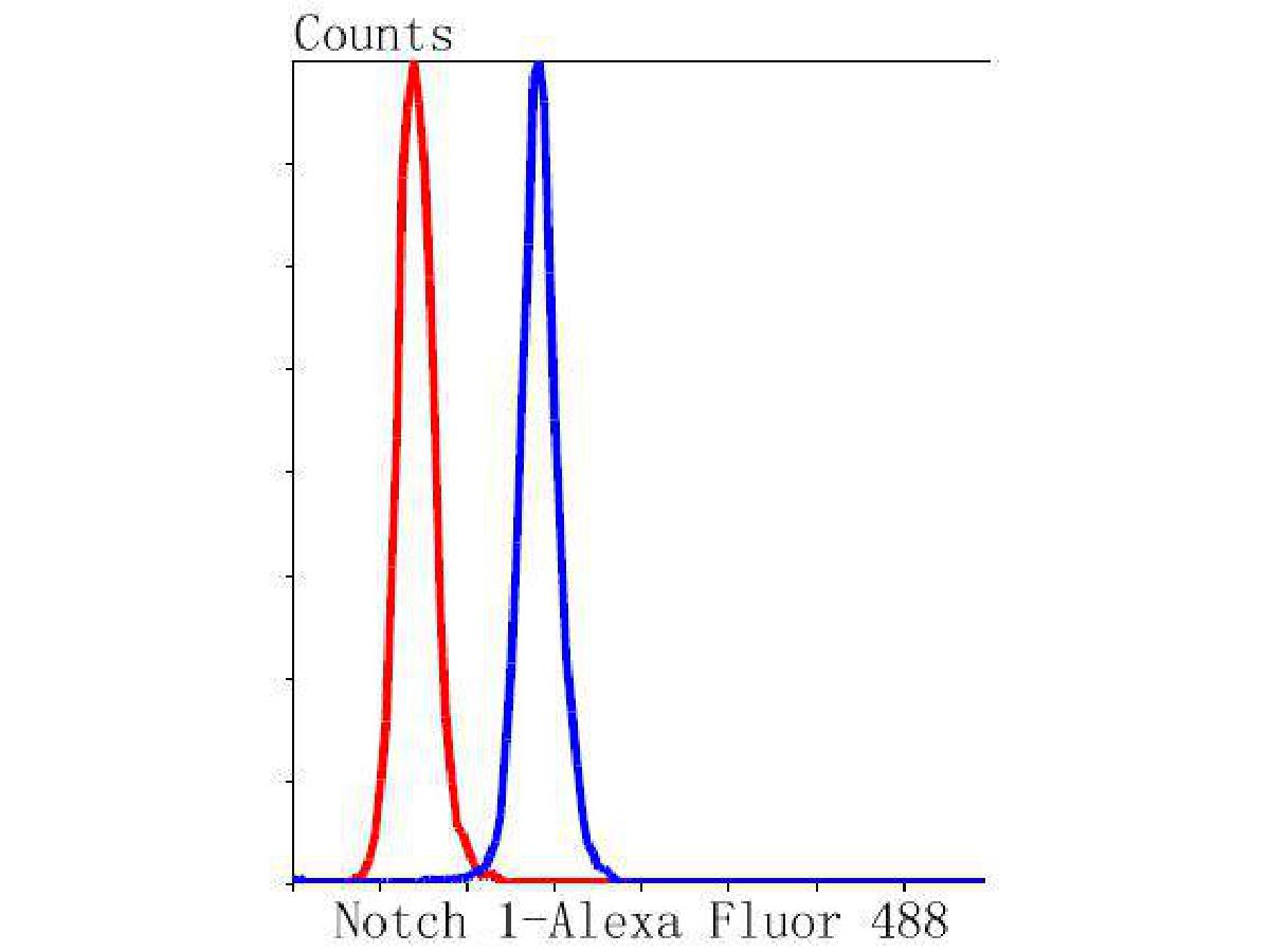 HA750111_11.jpg