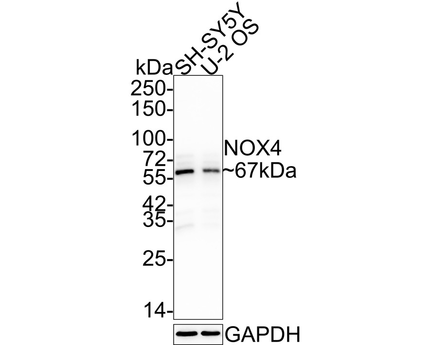 HA750122_1.jpg