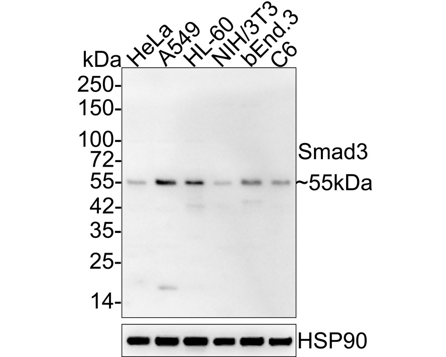 HA750123_1.jpg