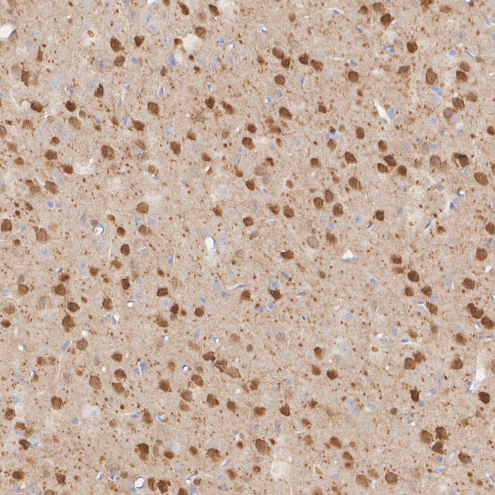 HA750139_10.jpg
