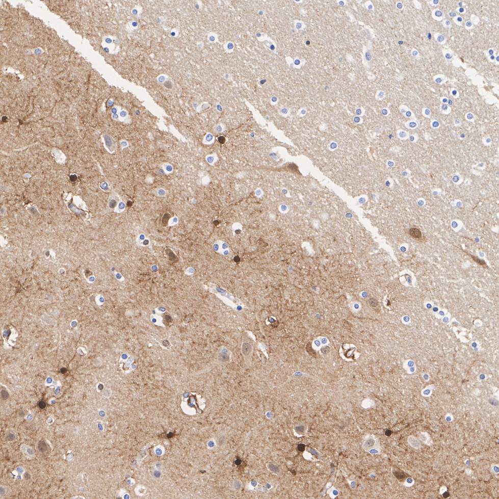 HA750139_6.jpg