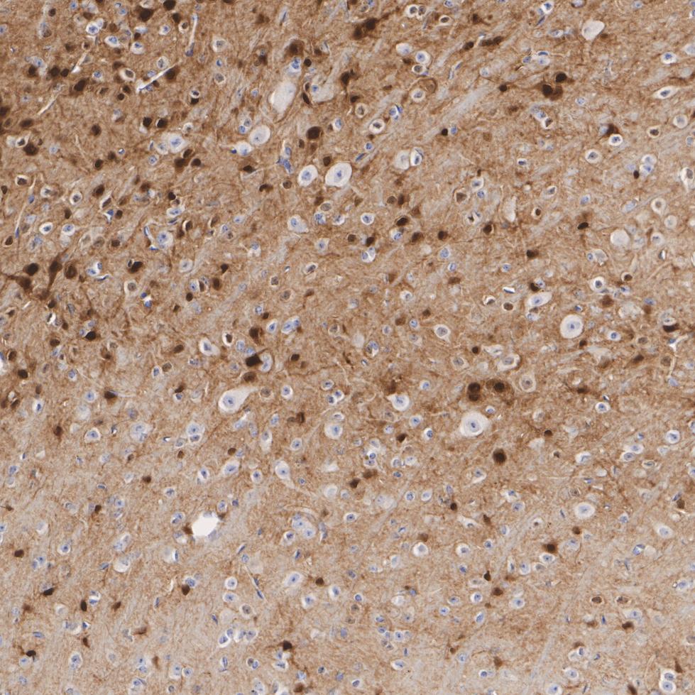 HA750139_8.jpg