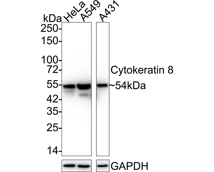 HA750145_1.jpg