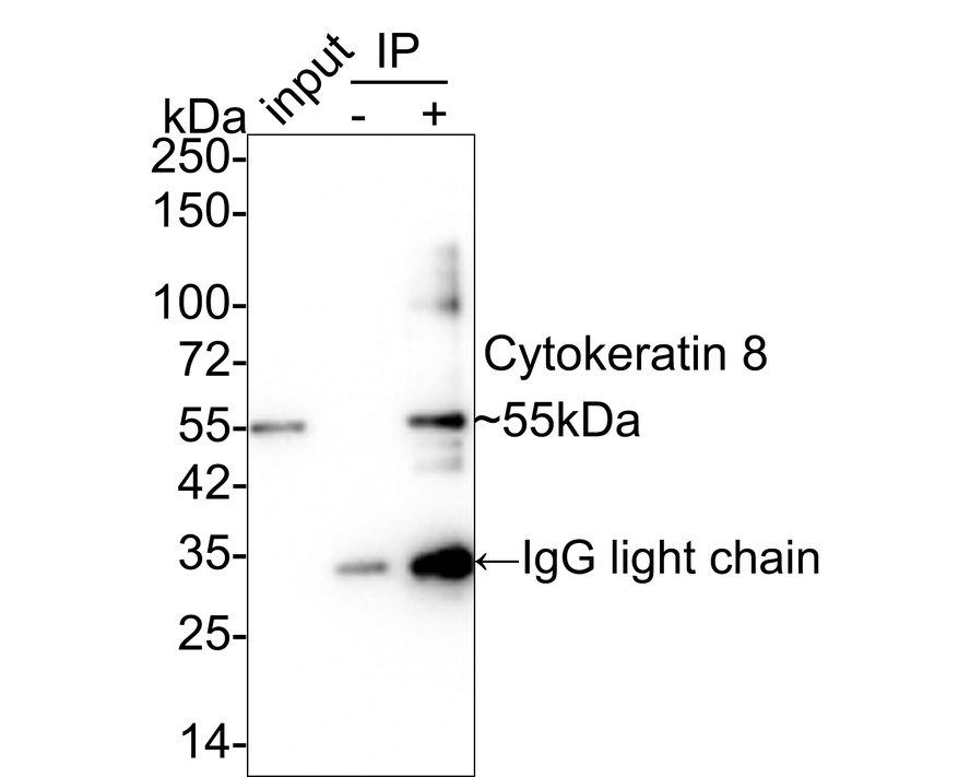 HA750145_13.jpg