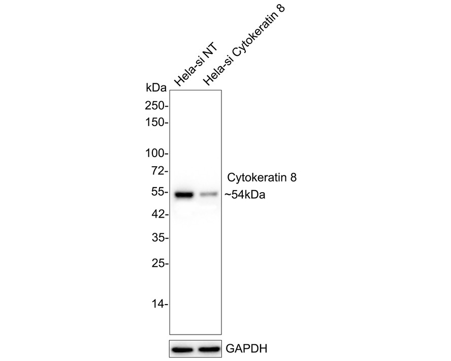 HA750145_2.jpg