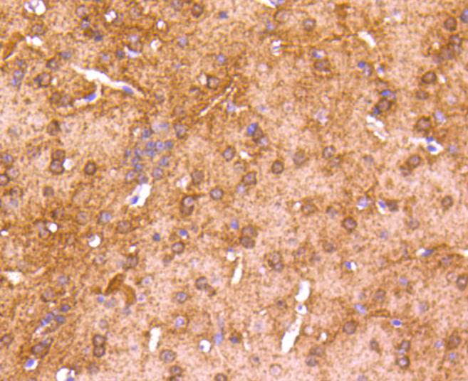 HA750150_5.jpg