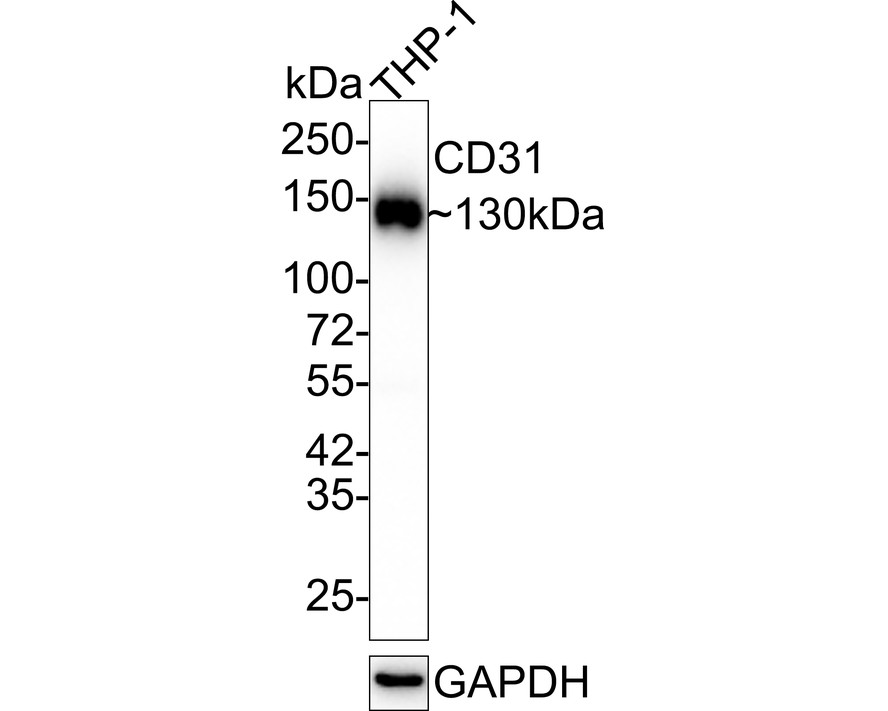 HA750151_1.jpg