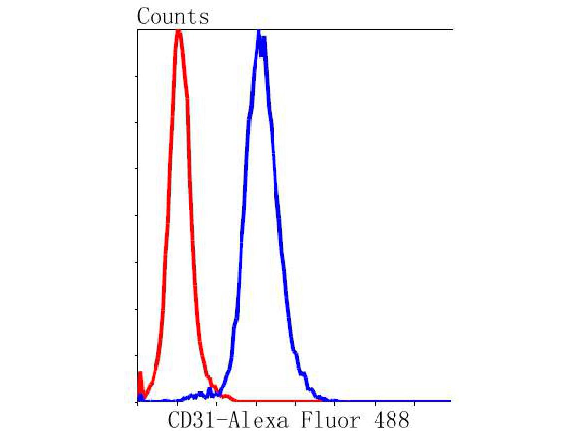 HA750151_4.jpg