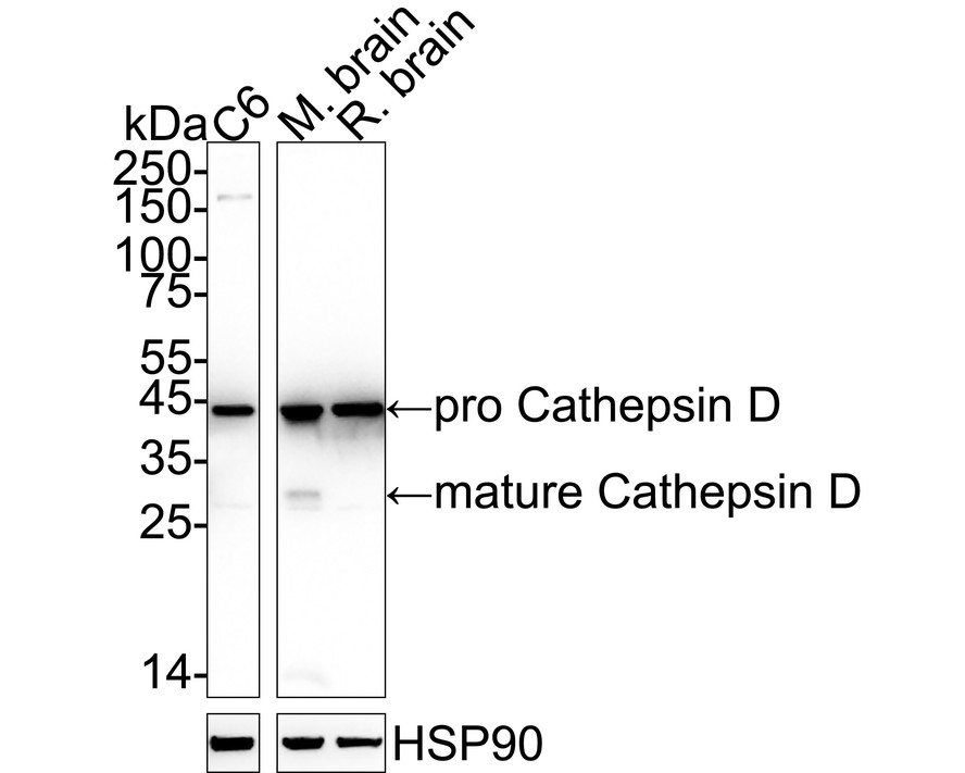 HA750152_2.jpg