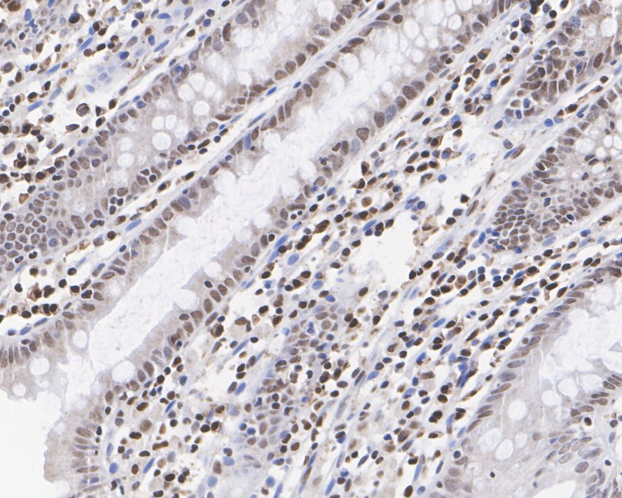HA750154_6.jpg