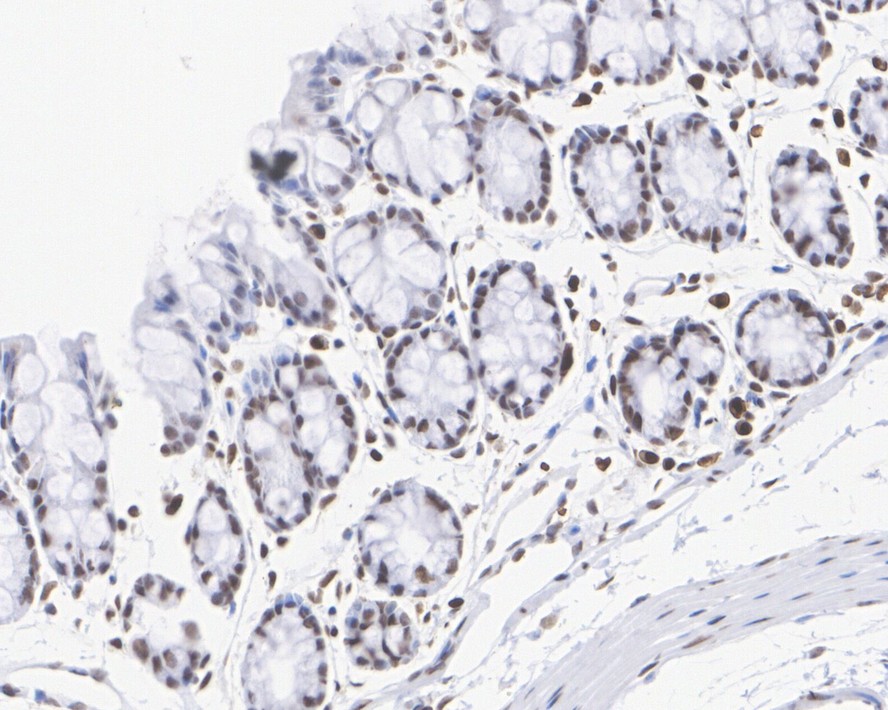 HA750154_7.jpg