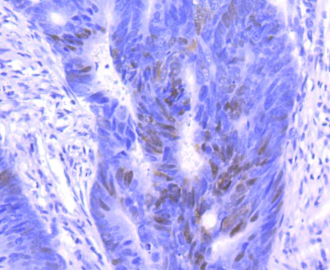 HA750157_5.jpg