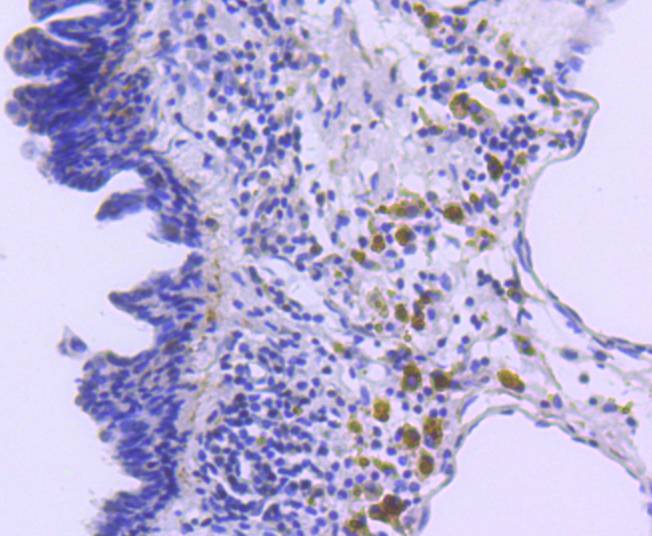 HA750157_6.jpg