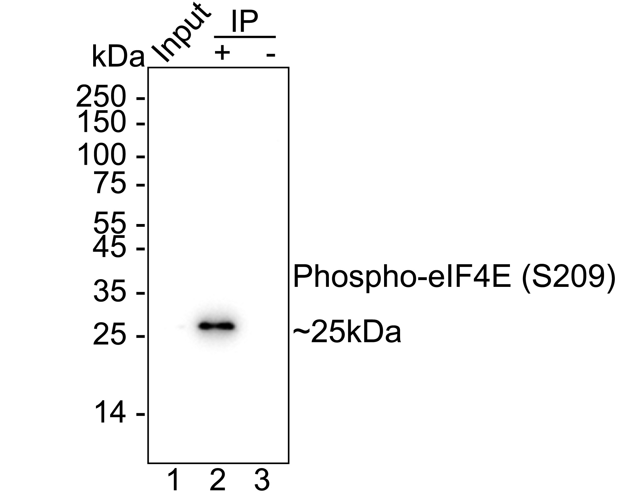 HA750160_7.jpg