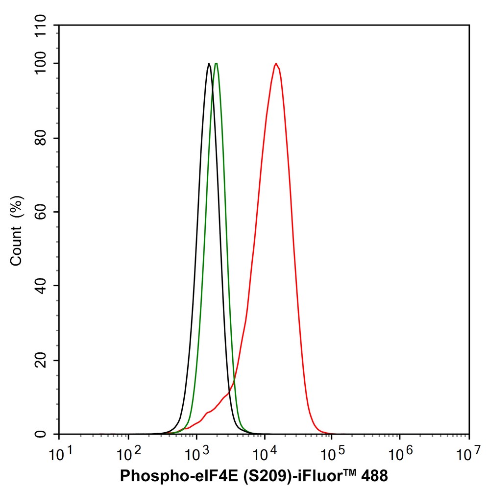 HA750160_8.jpg