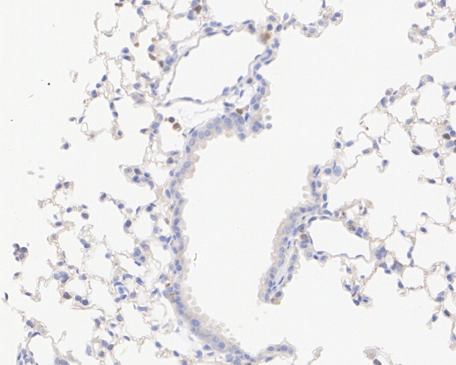 HA750162_8.jpg