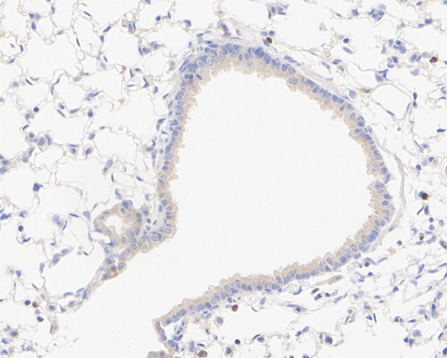 HA750162_9.jpg