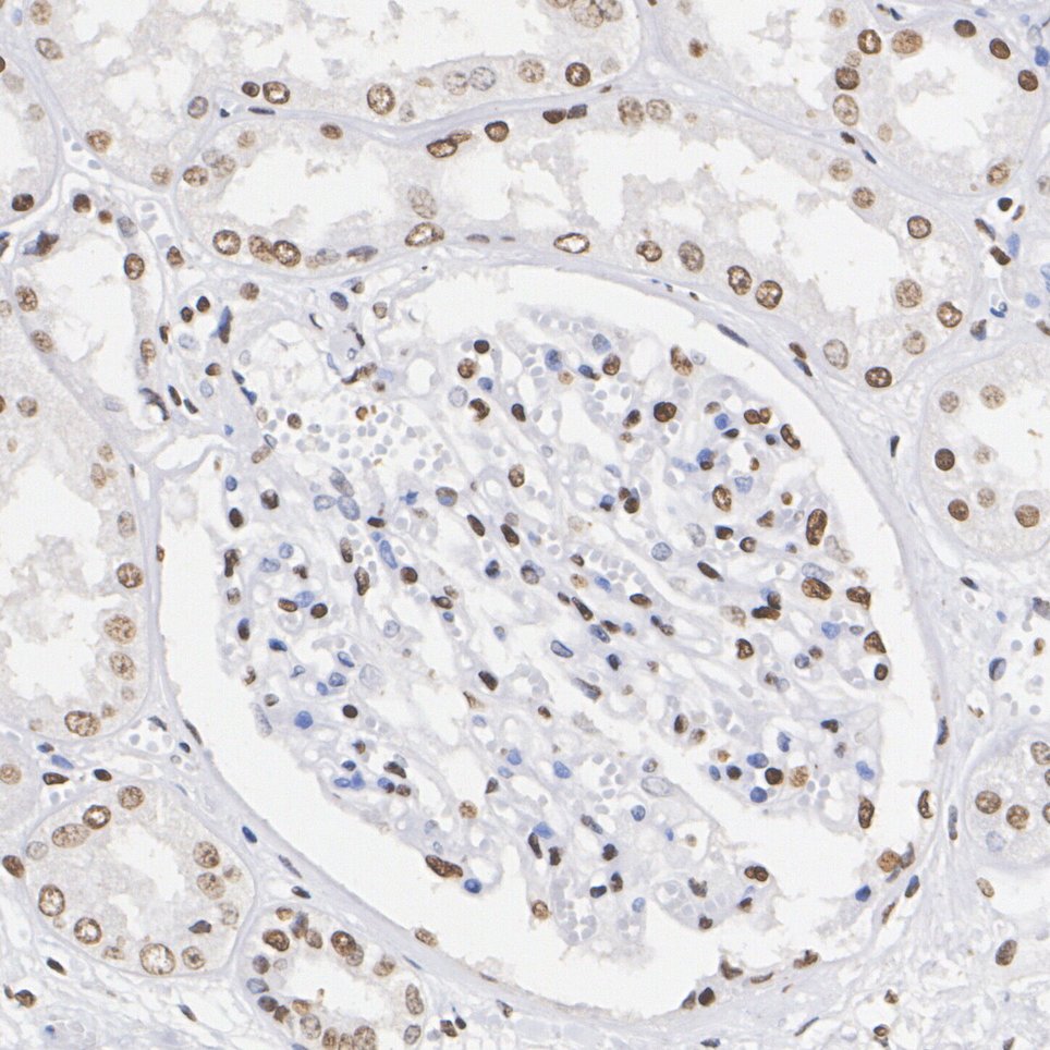 HA750163_3.jpg