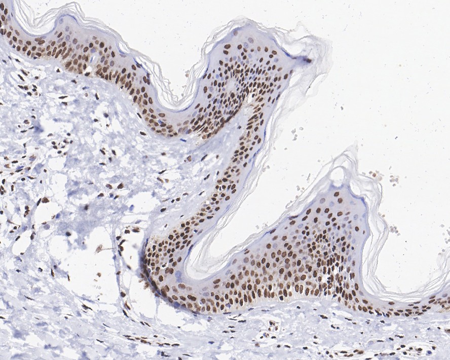 HA750163_5.jpg