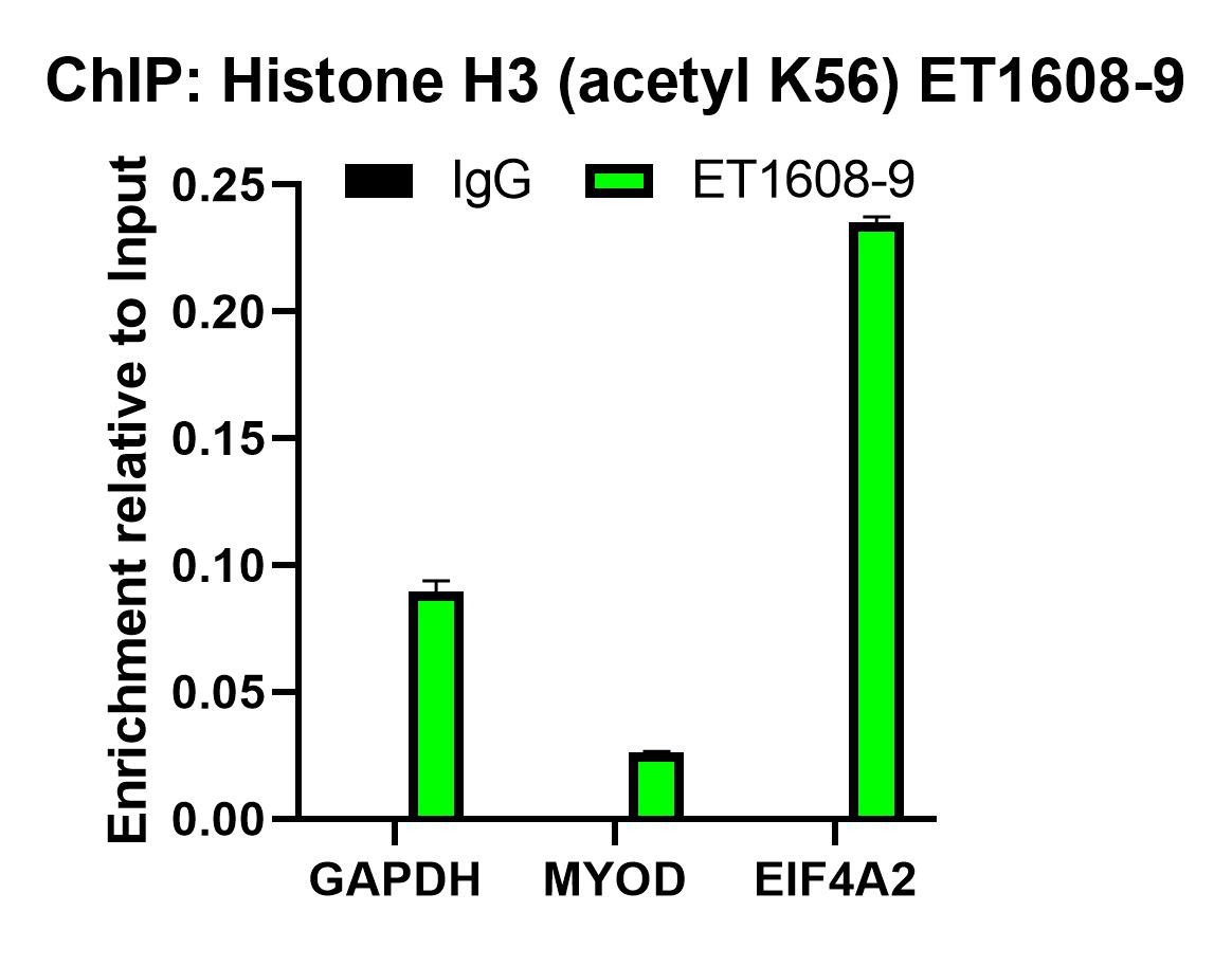 HA750163_9.jpg