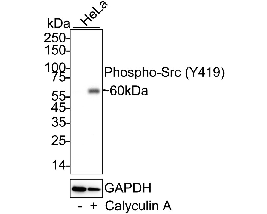 HA750164_1.jpg