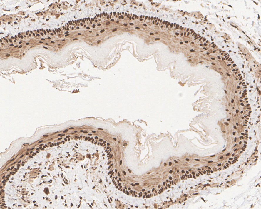 HA750165_7.jpg
