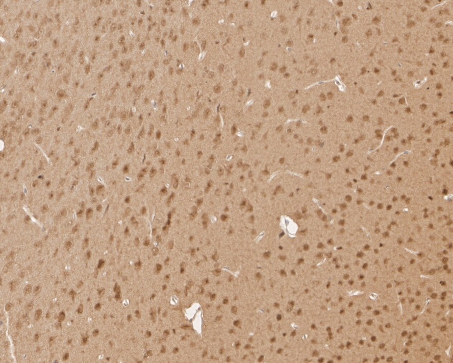 HA750165_8.jpg