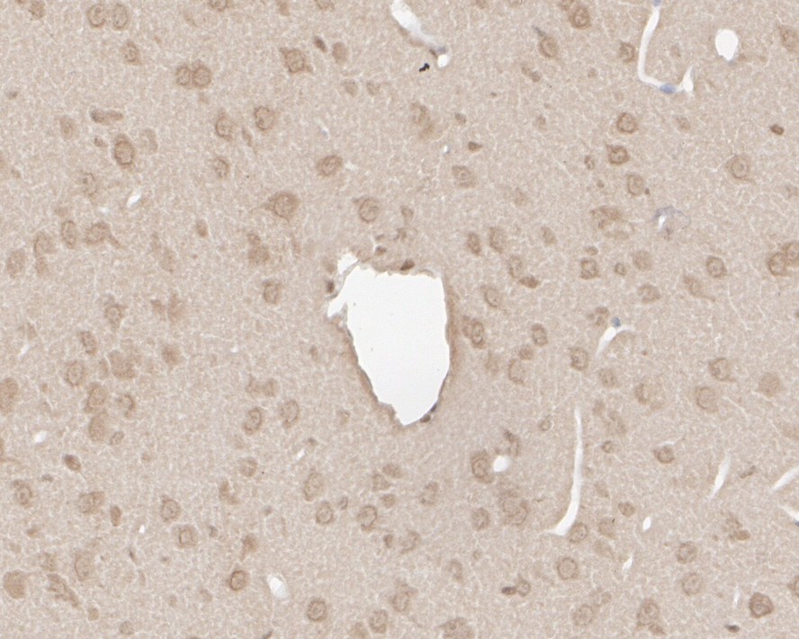 HA750165_9.jpg