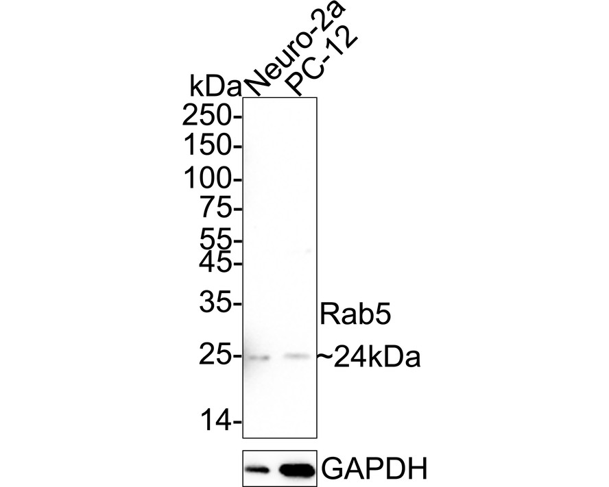 HA750167_4.jpg